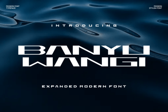 Banyu Wangi Font: A Bold Sans Serif for Campaign Design
