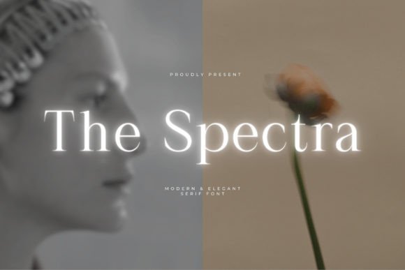 The Spectra Font Review: A Modern Serif for Campaigns
